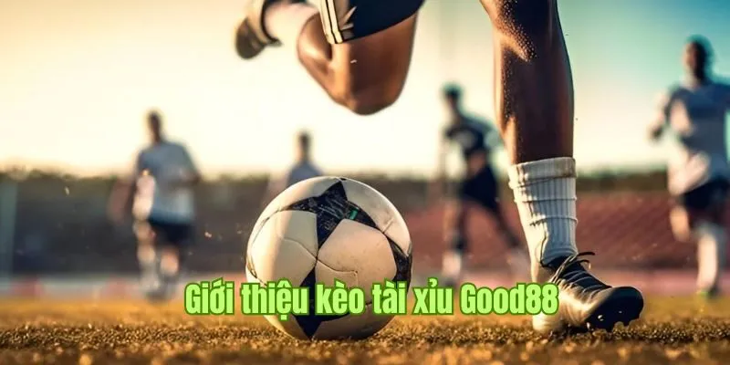 Kèo Tài Xỉu - Ghi Cược Nhanh Chóng, Nhận Thưởng Khủng Good88 1 Khám phá thể loại tài xỉu đang hot tại các giải bóng đá